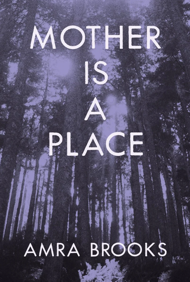 by Amra Brooks MFA '05